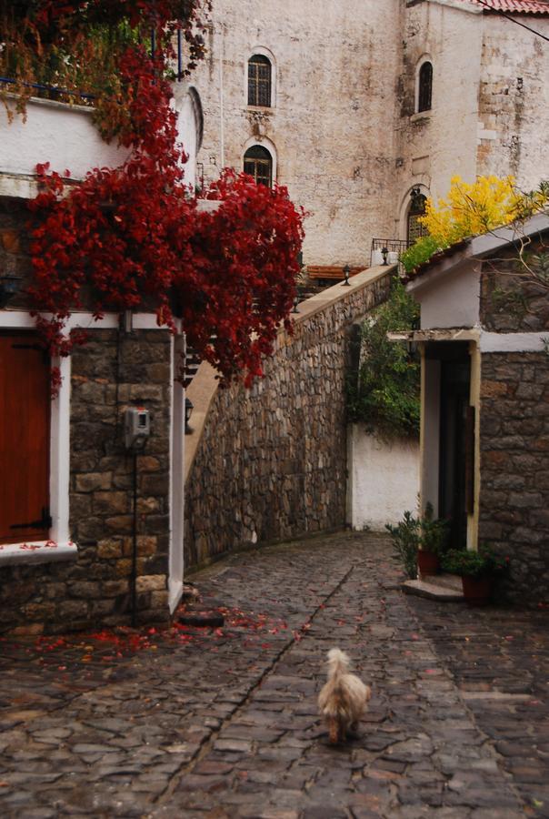 Villa Aleka Samothraki Bagian luar foto
